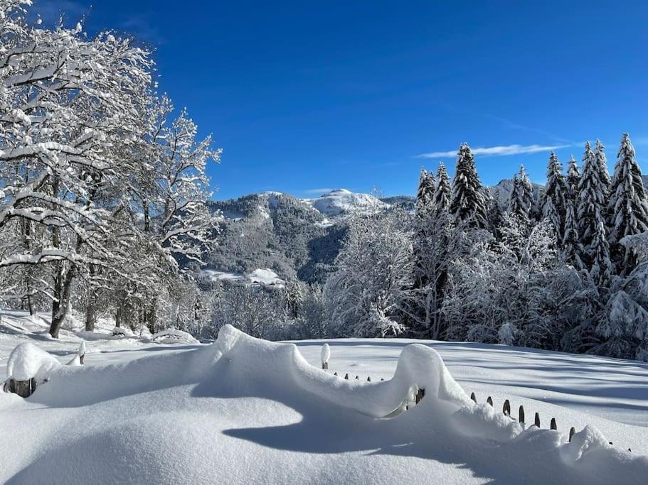 Chalet Alpage Proche Geneve Mégevette Buitenkant foto