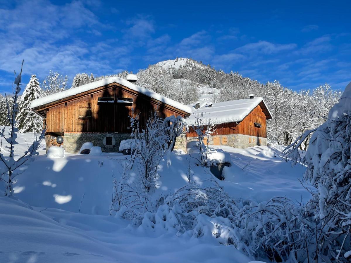 Chalet Alpage Proche Geneve Mégevette Buitenkant foto