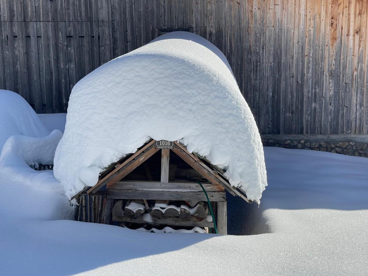 Chalet Alpage Proche Geneve Mégevette Buitenkant foto