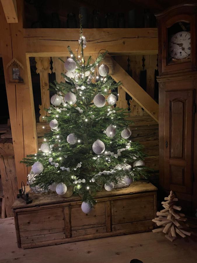 Chalet Alpage Proche Geneve Mégevette Buitenkant foto