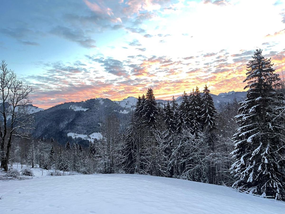 Chalet Alpage Proche Geneve Mégevette Buitenkant foto