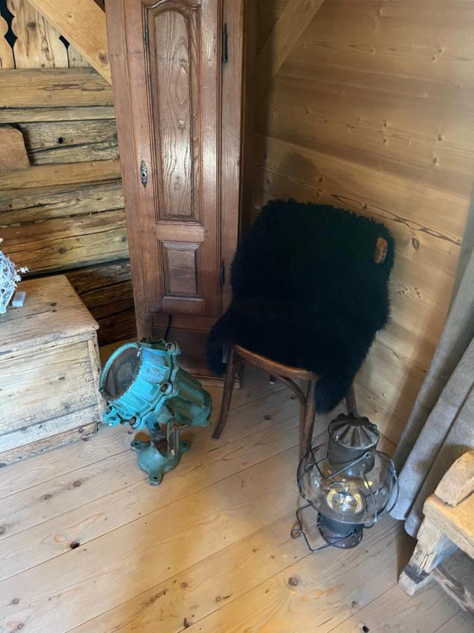 Chalet Alpage Proche Geneve Mégevette Buitenkant foto